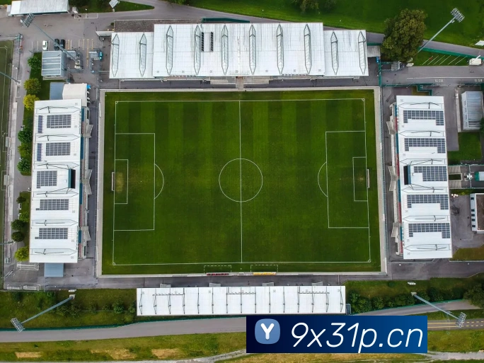 乐鱼官方最新网站平台生态图